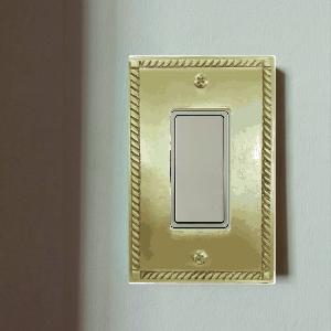 Georgian Switch Plate